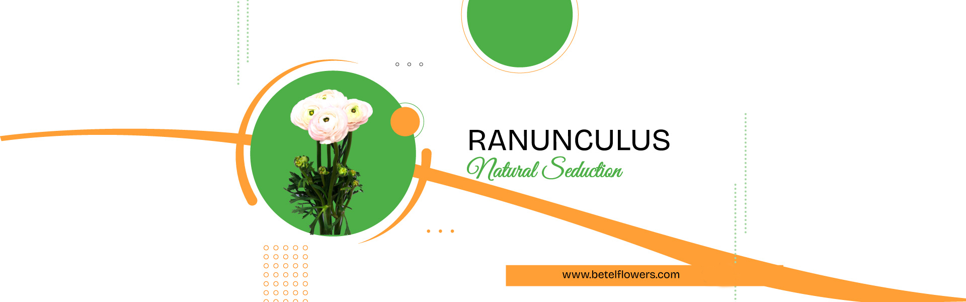 Ranunculus